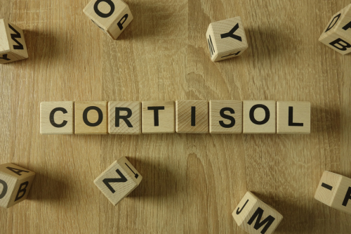 Cortisol-Blood Sugar Connection: Why Chronic Stress Can Keep You Stuck