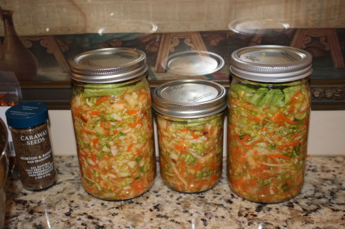 fermented foods supporting Gut Brain Axis