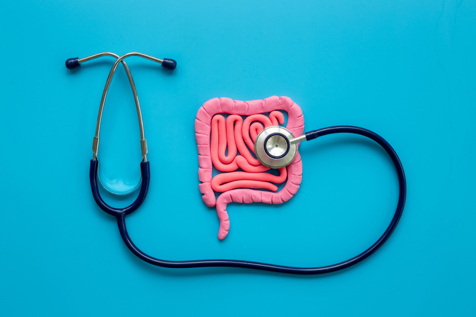 healthy gut healthy gut