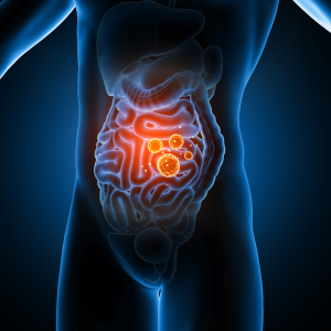 GI-MAP gut