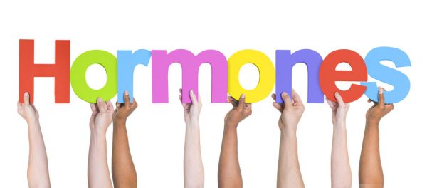 Insulin’s Affect on Hormones