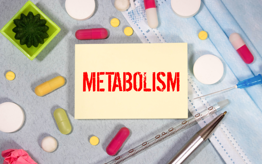 Top 9 Factors that Influence Metabolism As You Age (Part 2)