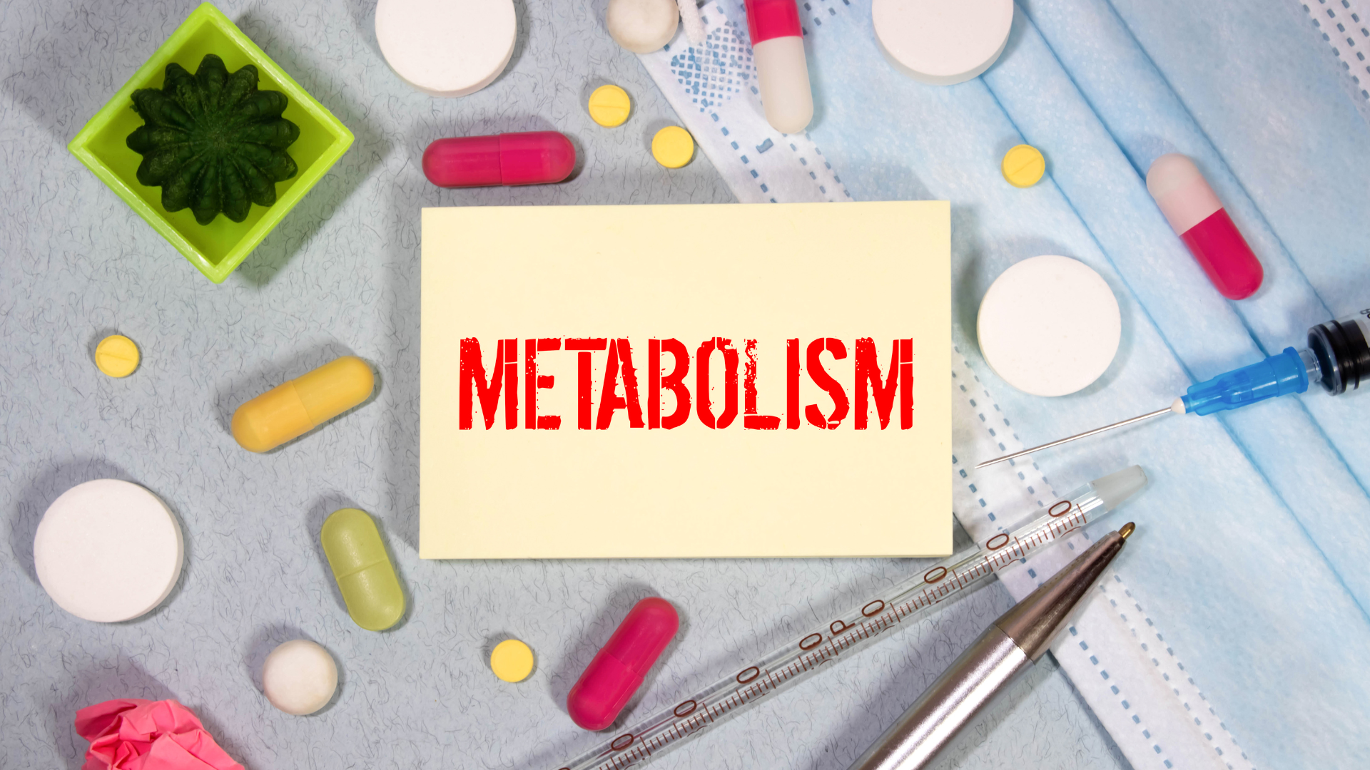 metabolism