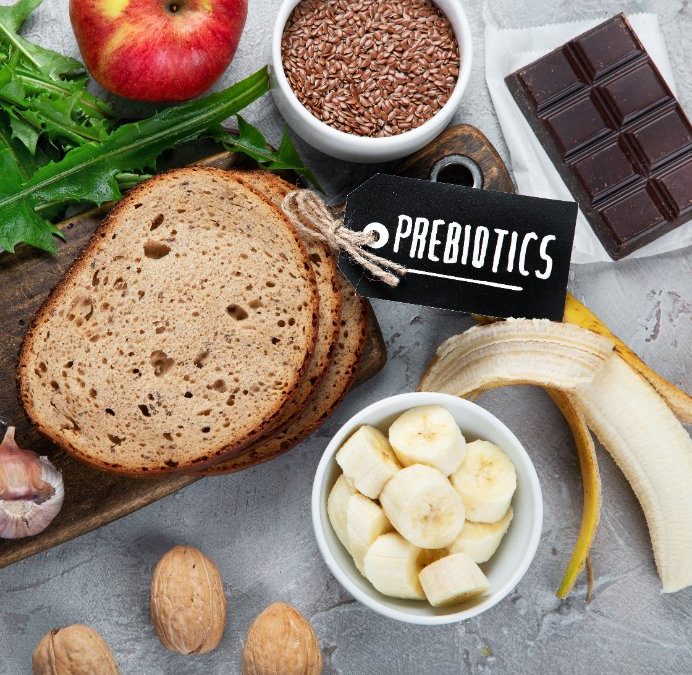 What are prebiotics?