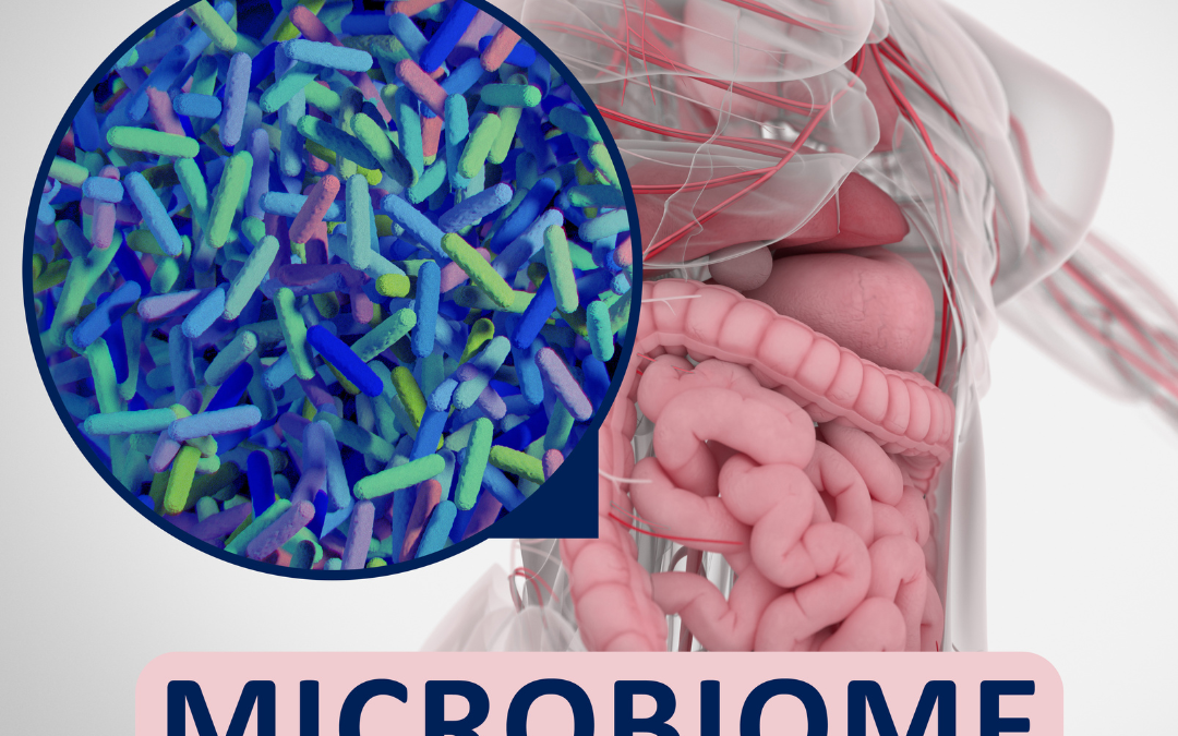 How Gut Imbalance Fuels Insulin Resistance, Inflammation, and Weight Gain