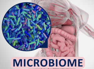 gut microbiome