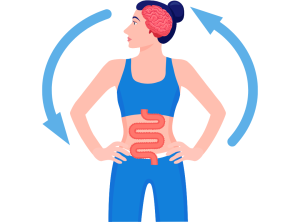 gut-brain axis graphic